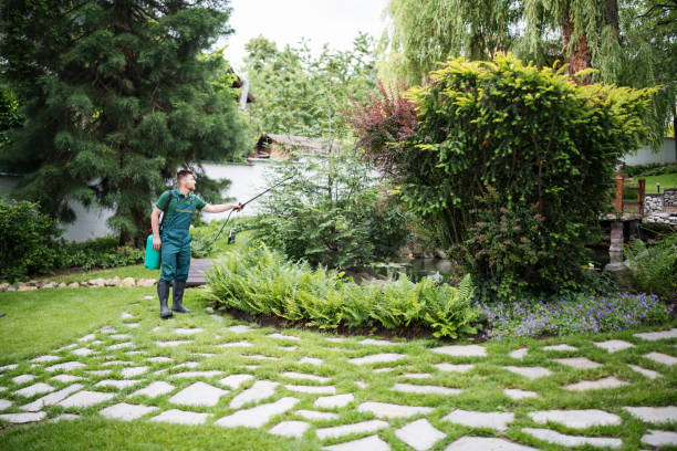 Best Ant Control Services  in Monaca, PA